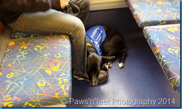 on the train