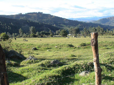 paisaje+del+campo+en+los+Andes+DSC02255+%281%29.jpg (800×600)