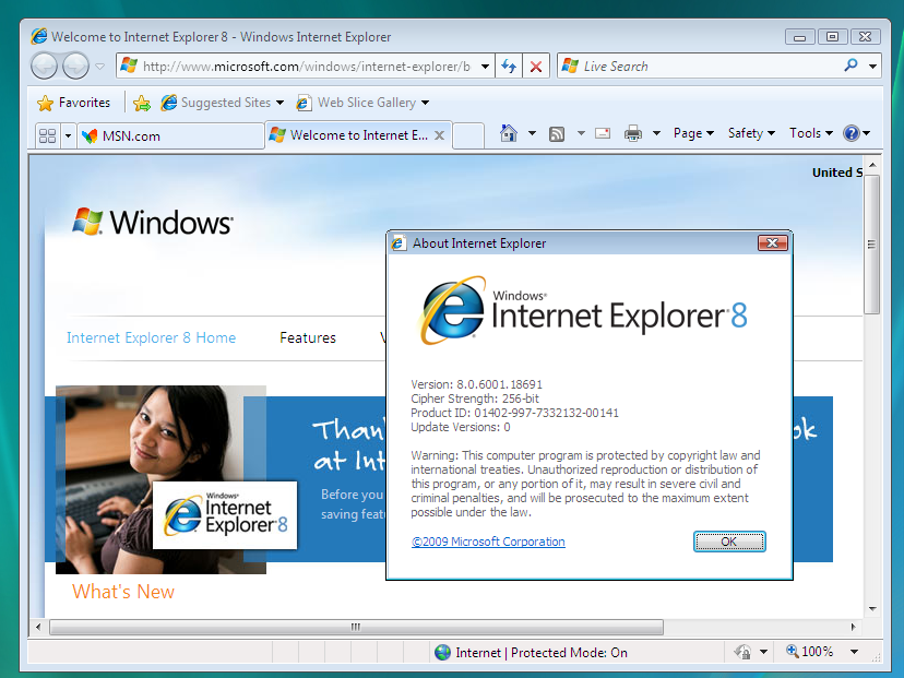 Internet Explorer 8�