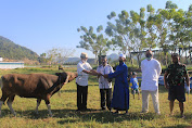 Ditengah Pandemi Covid-19, Kodim 1628/Sumbawa Barat Berqur'ban 4 Ekor Sapi dan 13 Kambing Dan Bagi Masker Bantuan BNPB Untuk Masyarakat Sekitar