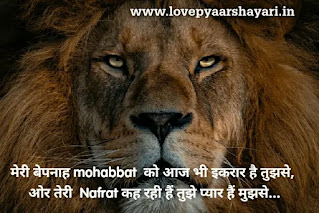 Shayari on Nafrat