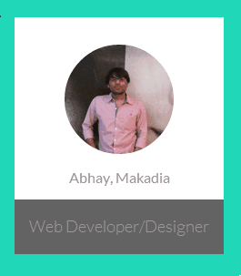 Metro Style User Profile Design with Flip Effect