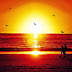 49+ Trend Gambar Pemandangan Sunset Terindah