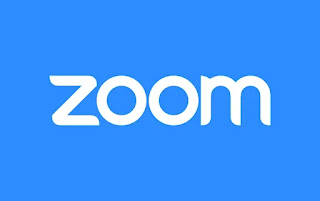 Zoom: Video Conferencing Champ | ArticleEurope