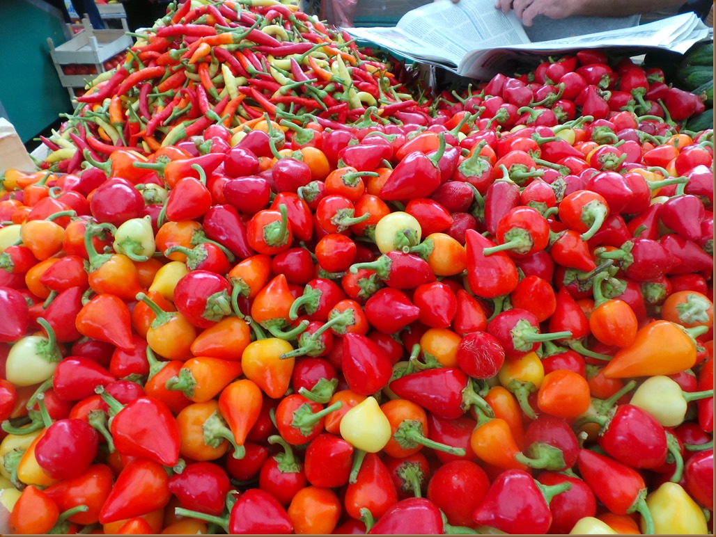 20160907_100928 Zeleni Venac Square (Farme´s Mkt) (8) 20160907_100928 Zeleni Venac Square (Farme´s Mkt) (8)