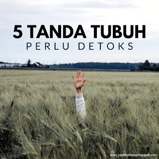 Tanda tubuh perlu detoks