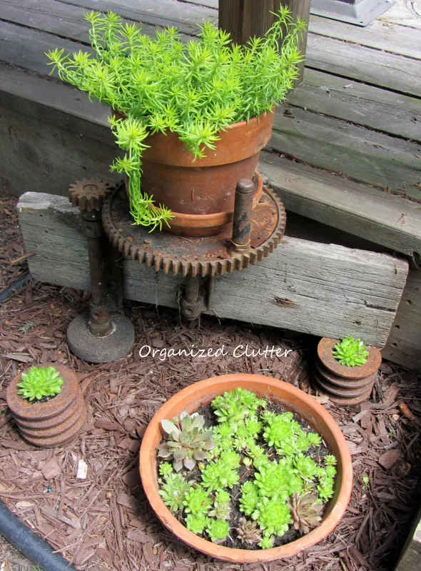 Gears, Pulleys, Terra Cotta & Succulents www.organizedclutterqueen.blogspot.com