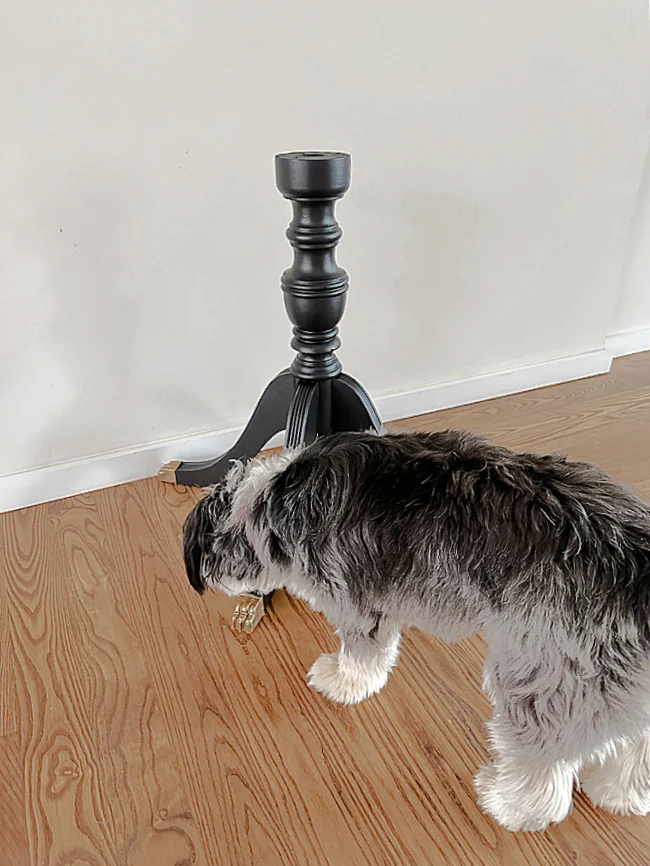 Table pedestal and puppy