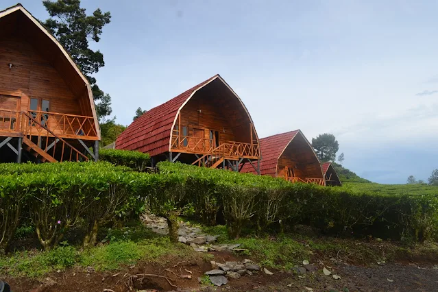 Ciwalini Cottage : Pilihan terbaik menginap di Ciwidey