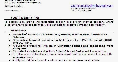 Format Of Cv For Job Application Pdf