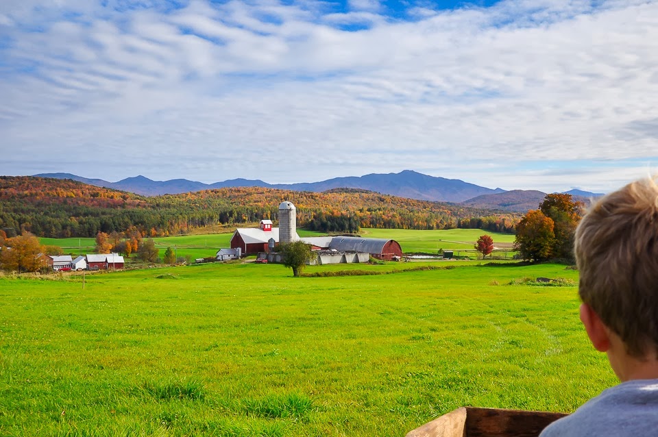 sharp cheddar farm-9783