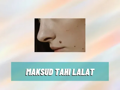 maksud tahi lalat