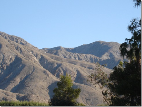 Palm Springs 3 003