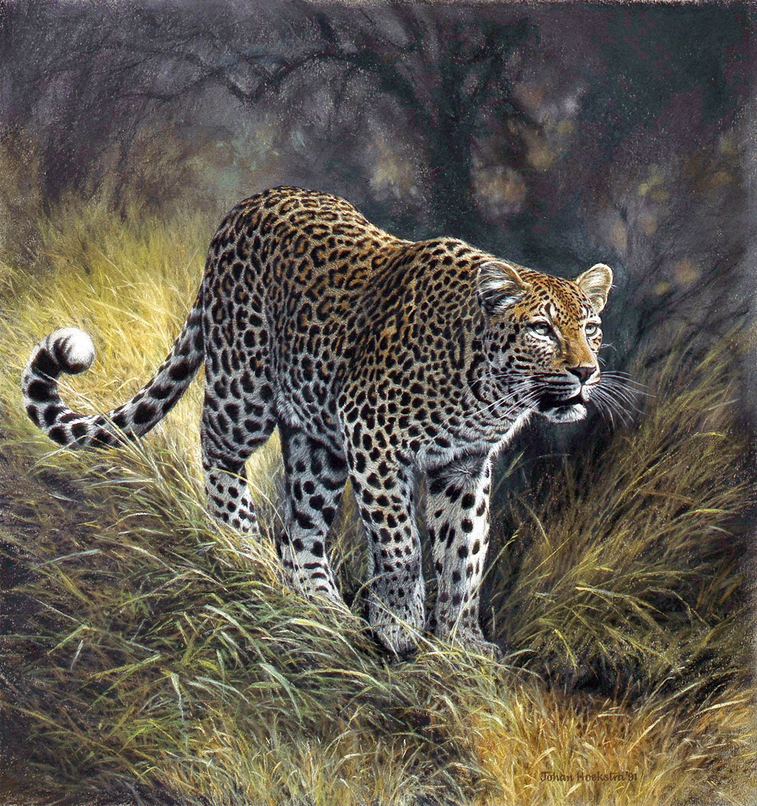 Wildlife Art