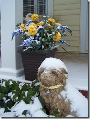 doginsnowfrntporch121610