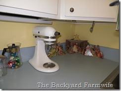 open house - The Backyard Farmwife