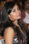 Bhanusri Mehra glamorous photos-thumbnail-3