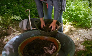 Compost