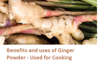 Benefits and uses of Ginger Powder - Used for Cooking 