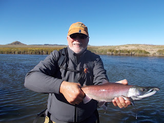 Dream Stream Kokanee Salmon Colorado