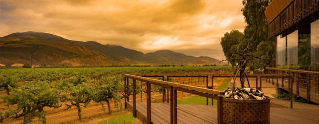 Valle Guadalupe Baja California