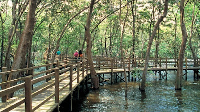 Sungei Buloh Wetland Reserve