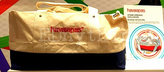 EDnything_Havaianas Bag 03