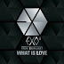 [Single] EXO-K - What Is Love (Korean Ver.)