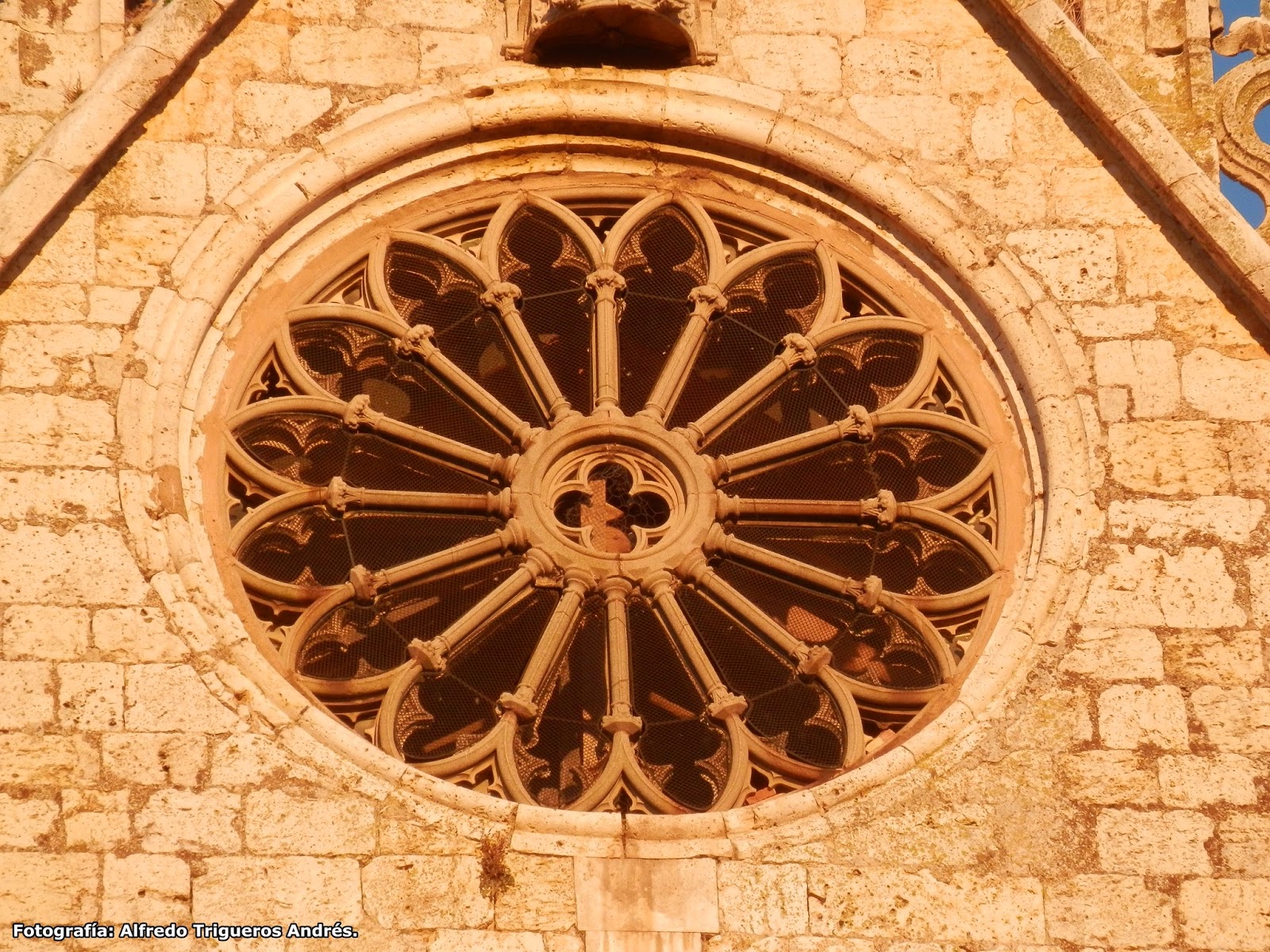 Resultado de imagen de Catedral de San AntolÃ­n Palencia roseton