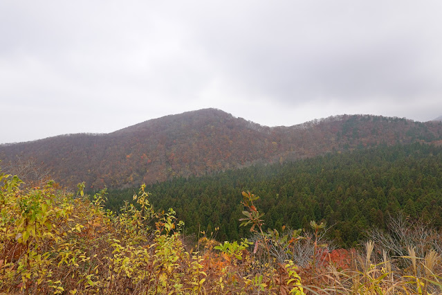 鳥取県道45号倉吉江府溝口線（大山環状道路）　からの眺望