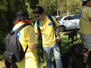 Pastor Australiano na Cãominhada em Oeiras