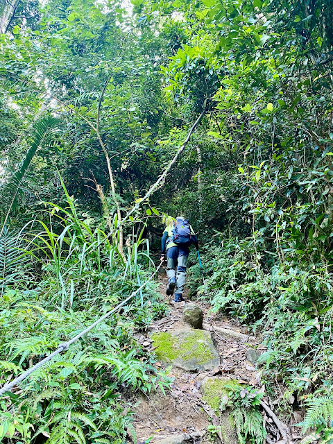 往金童山