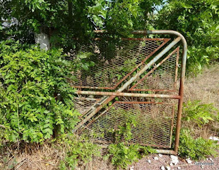 urbex-ancien-stade-vélodrome-saint-pierre-oléron-jpg