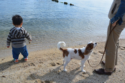 わんこと子連れ琵琶湖散歩