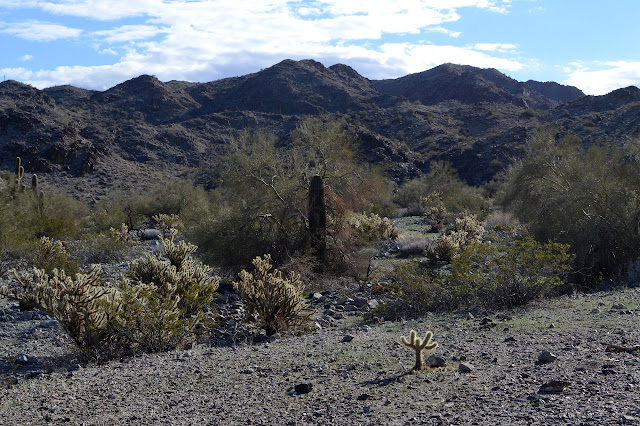 wash surrounded by foothills