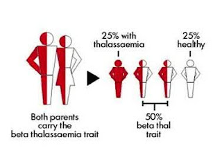 prosentase penyakit thalassemia