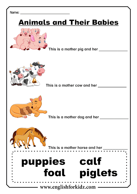 Animal babies - free printable ESL worksheets