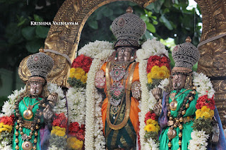 Vaigasi, Purappadu,Video, Divya Prabhandam,Sri Parthasarathy Perumal, Triplicane,Thiruvallikeni,Utsavam,Gajendra Varadhar,Brahmotsavam