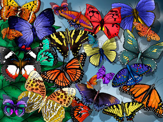 Wallpapers with Butterflies