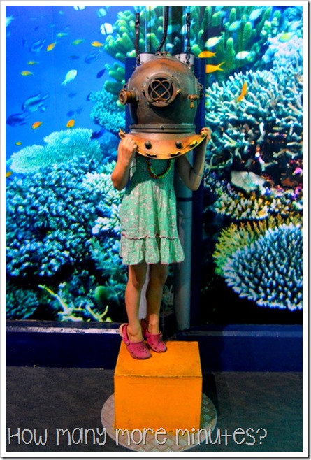 The Townsville Aquarium | How Many More Minutes?