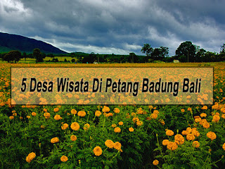 Inilah 5 Desa Wisata Di Kecamatan Petang Badung Bali