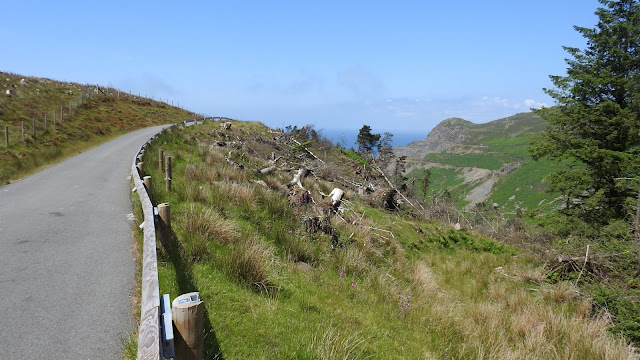 Snowdonia National Park II