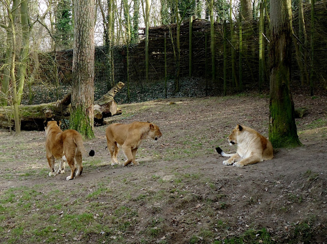 Zoo Rostock