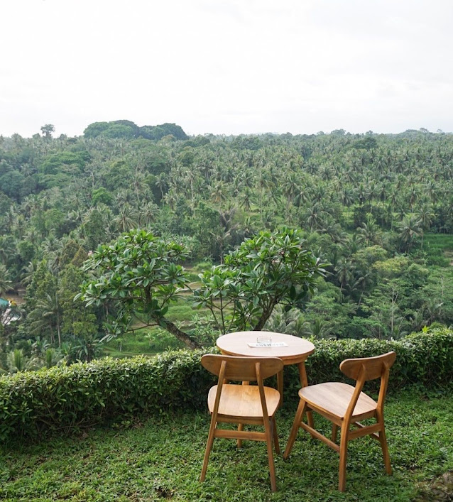  Memang tak salah jika Bali khususnya Ubud menjadi salah satu kota tujuan tempat wisata Sayan Point Ubud Harga Menu, Daya Tarik dan Lokasi