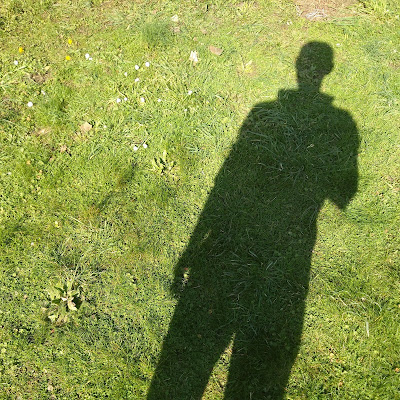 My shadow being cast onto a green lawn