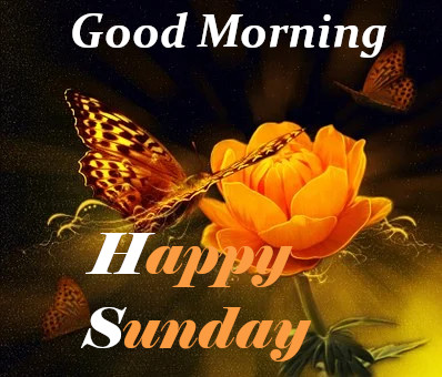 Good Morning Happy Sunday