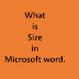 What is Size in Microsoft word.