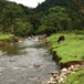 View album