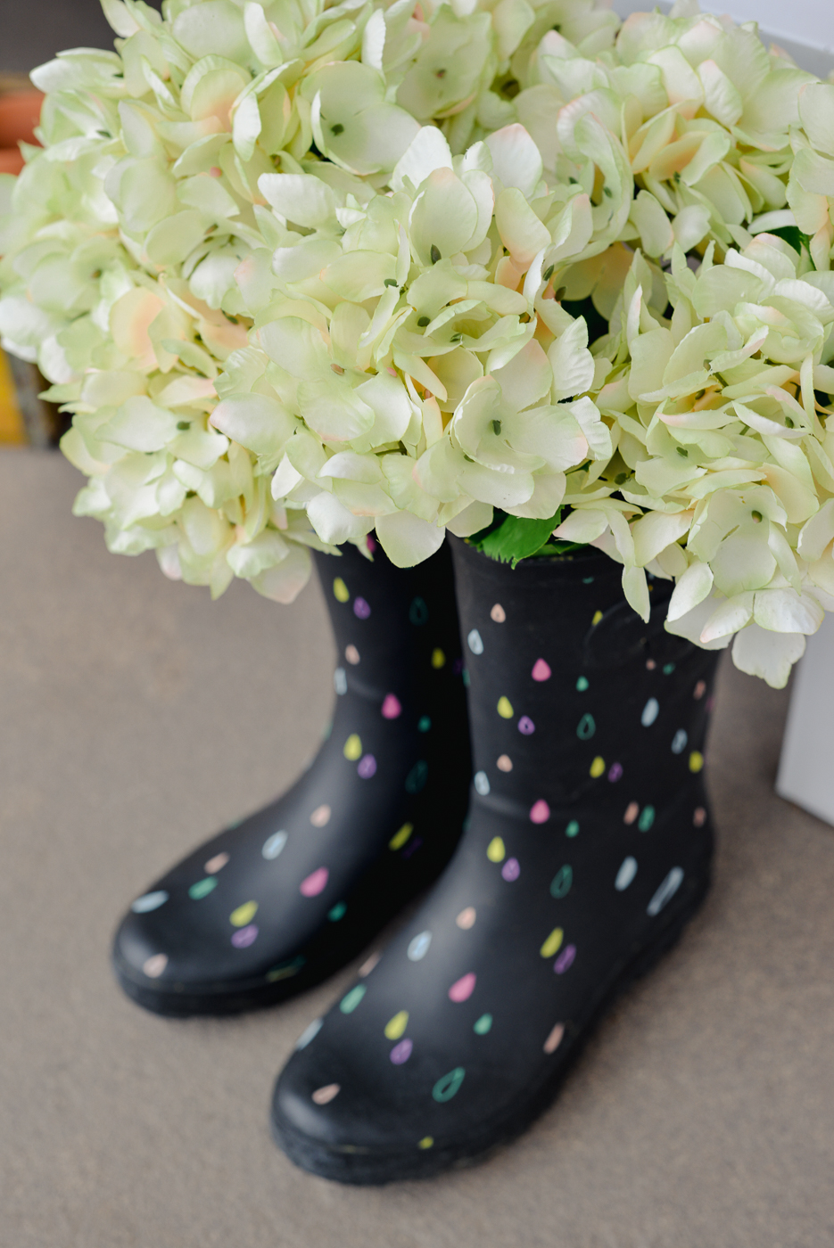 hydrangeas in rain boots