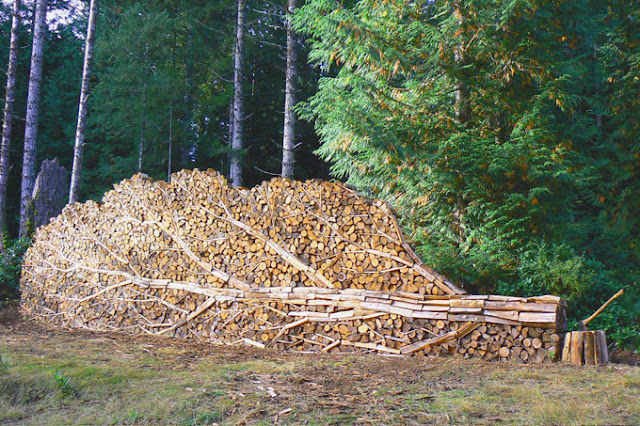 Wooden Tree